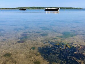 Rumah | Pemandangan perairan