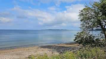 A beach with clear water, a distant island, and a tree in the foreground.