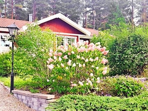 Ferienhaus | Aussenbereich