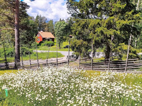 Holiday Home in VÃ¤tÃ¶