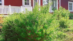 House | Exterior - Holiday Home in VÃ¤tÃ¶ (Vätö)