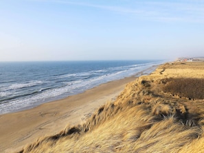 Un paysage côtier avec une plage de sable, des dunes herbeuses et une vue sur l’océan.