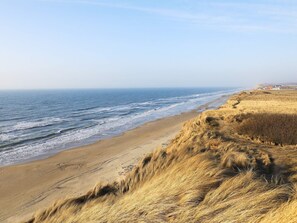 House | Beach
