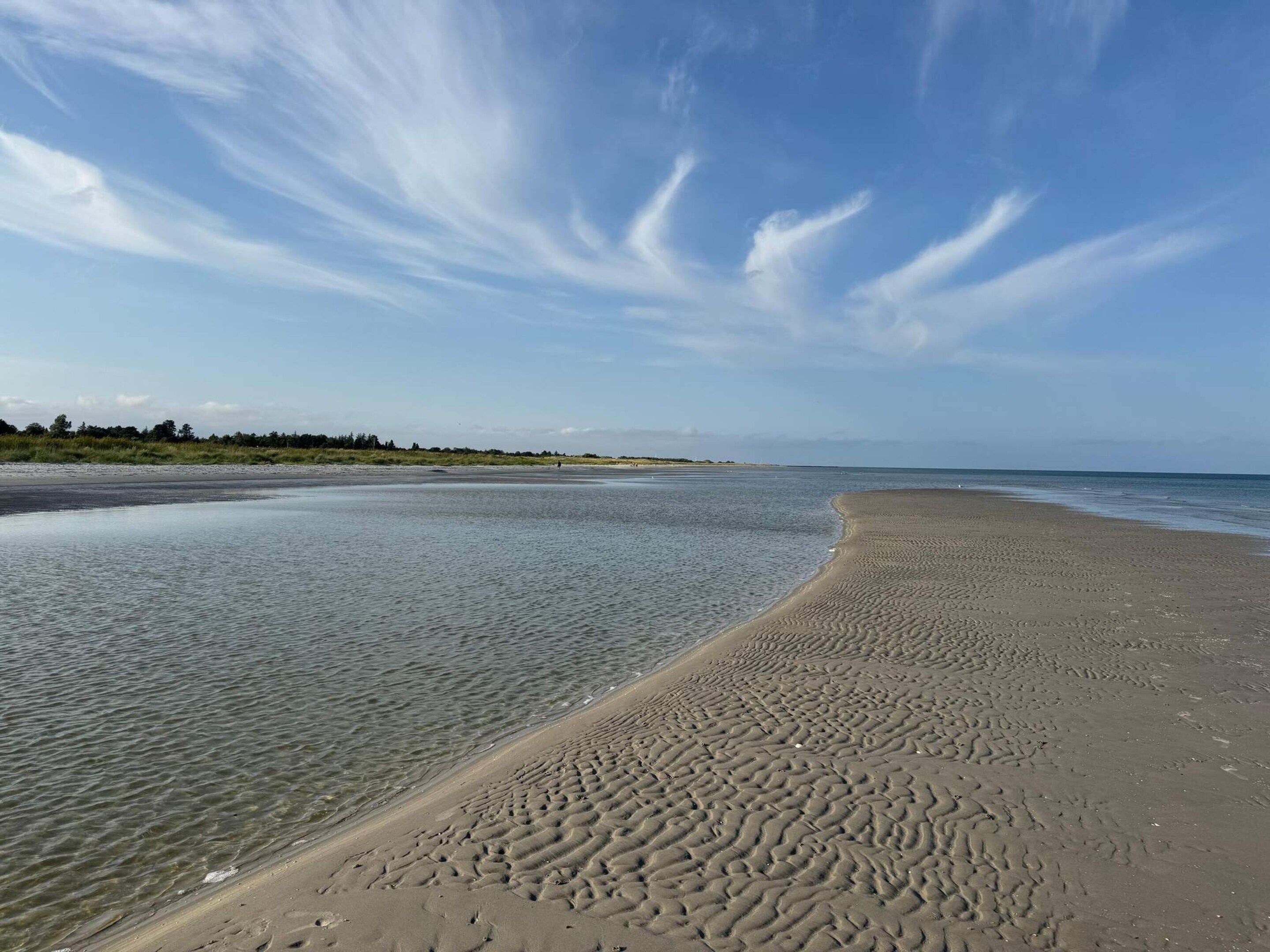 Ein Strand mit klarem Wasser, einem sandigen Ufer und einer entfernten Baumlinie.