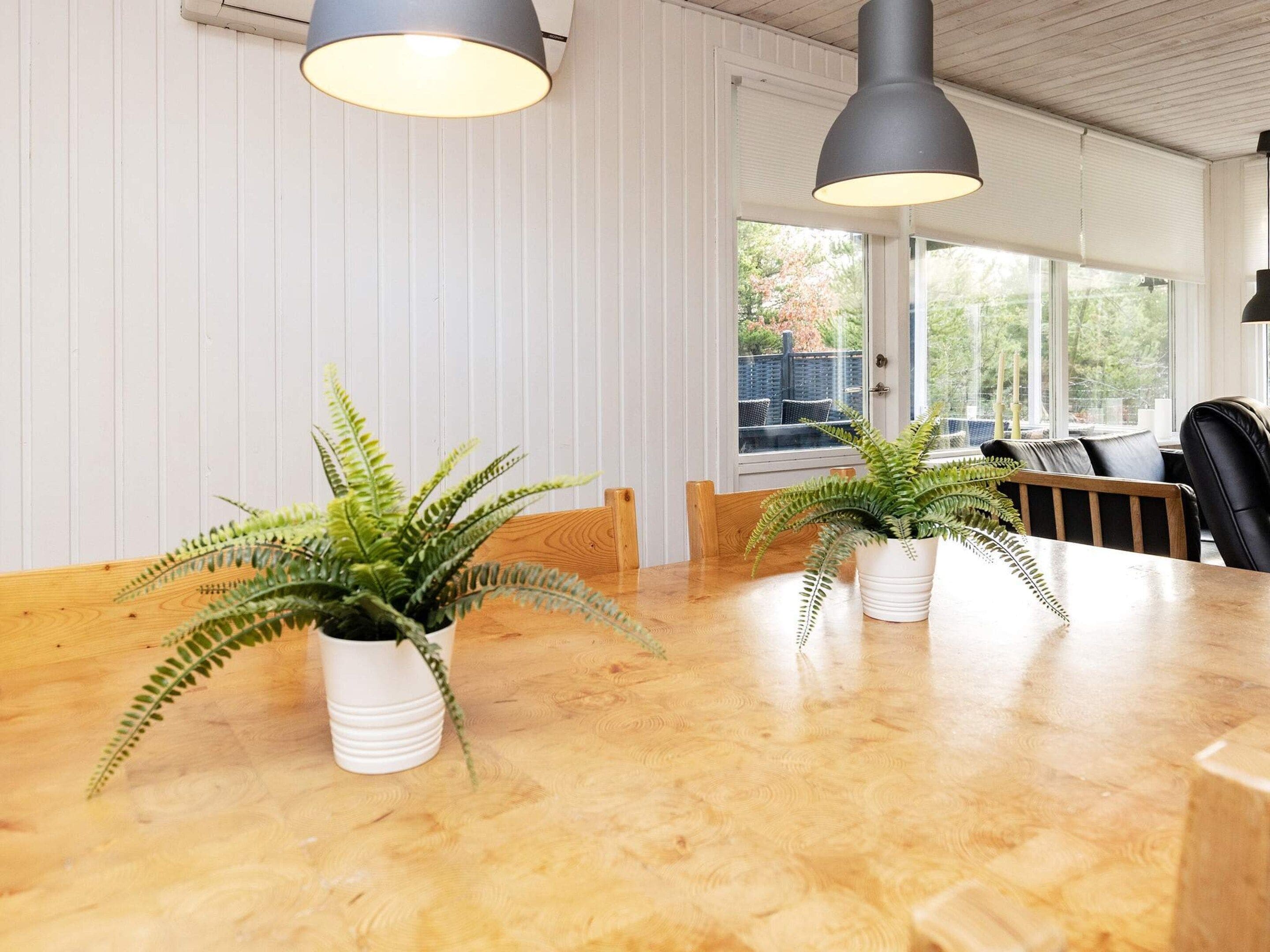 Une table en bois, sur laquelle sont posés deux pots blancs contenant des fougères, deux chaises et une fenêtre avec des stores.