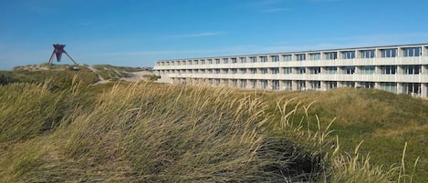 Un edificio moderno con techo plano y numerosas ventanas, rodeado de dunas cubiertas de hierba.