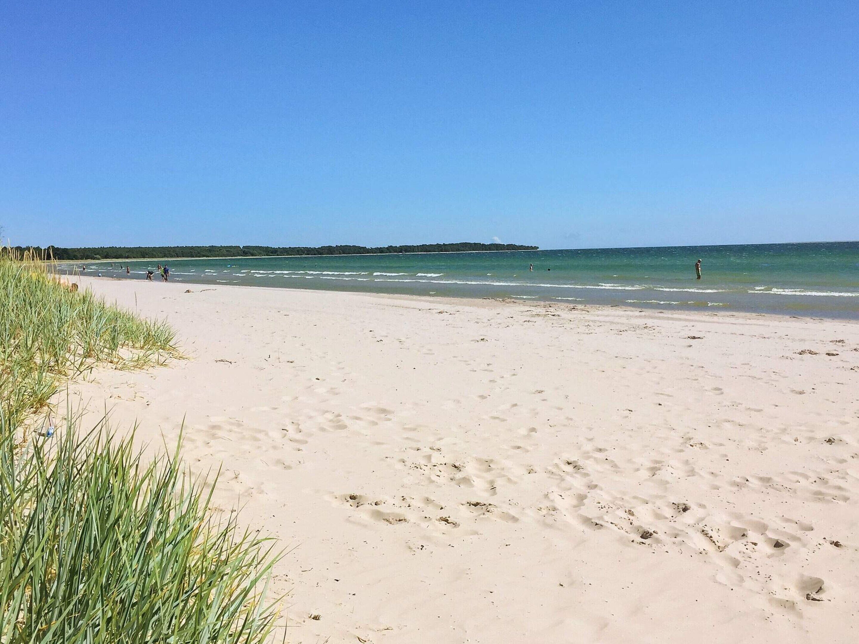 A beach with clear skies, sandy shore, and some vegetation.