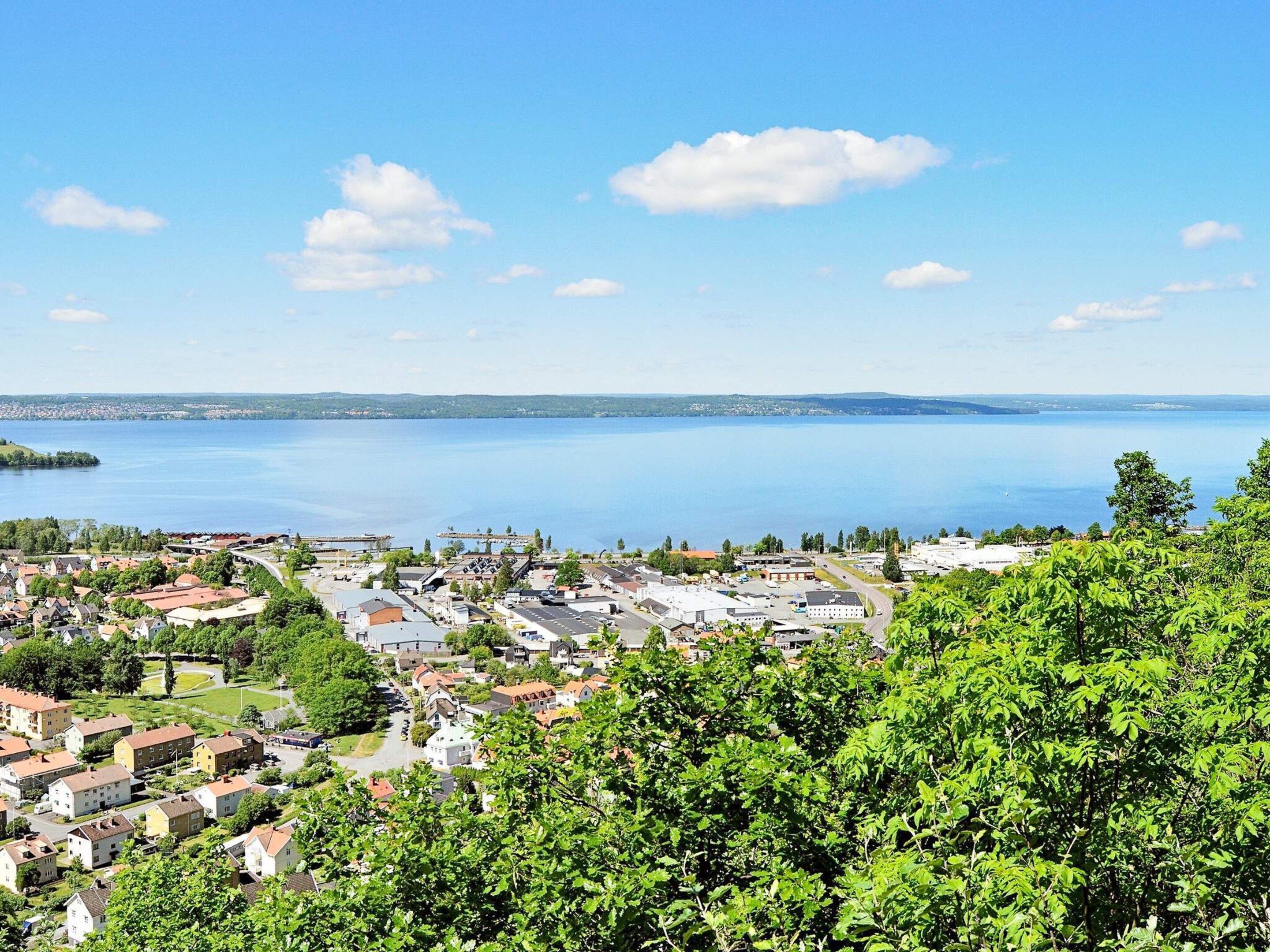 A residential area with houses, a road, and a body of water in the background.