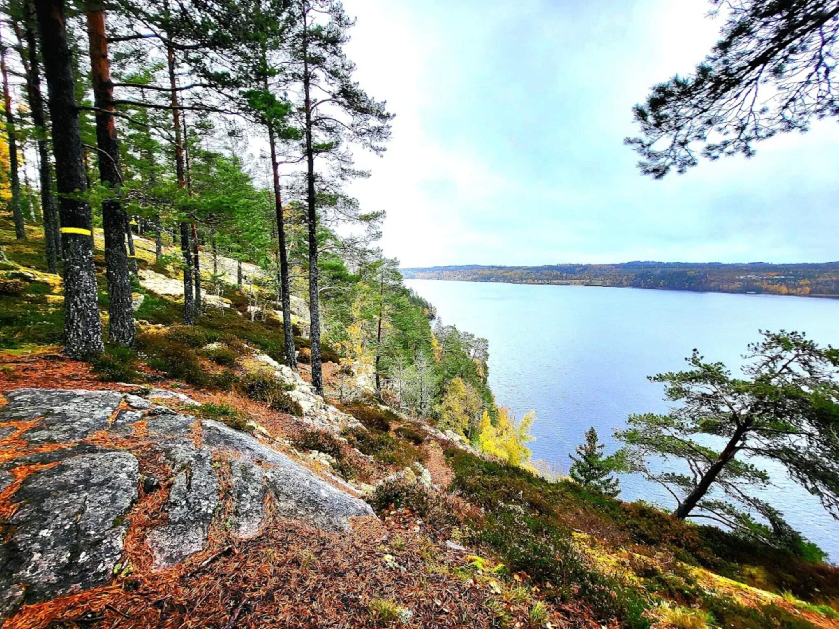 A forested area with a lake, rocky terrain, and trees.