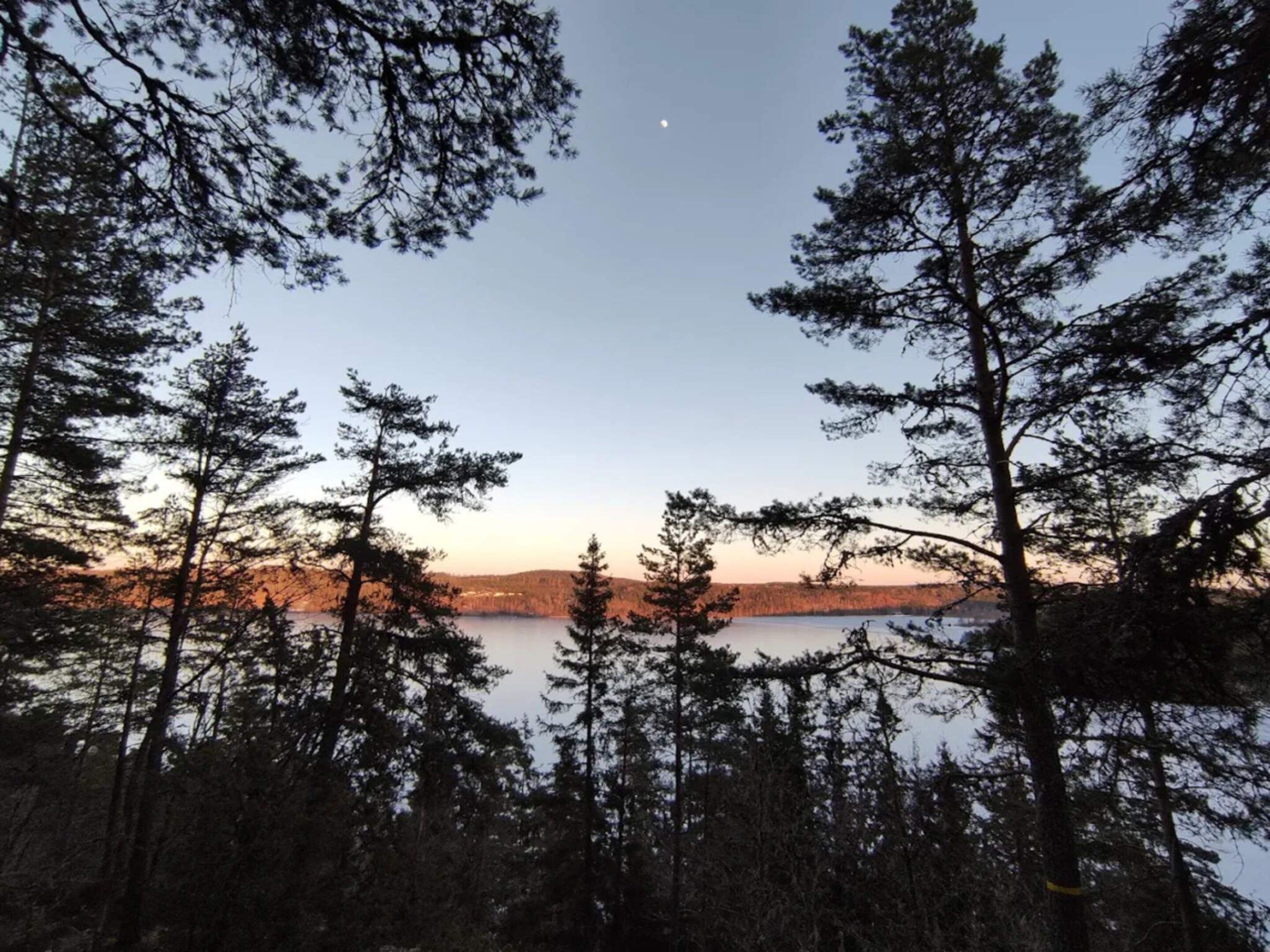 A forested area with a lake and a clear sky.