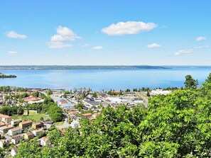 Un quartiere residenziale con case, una strada e uno specchio d'acqua sullo sfondo.
