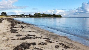 Oklassificerad bild, 5 av 19, knapp
