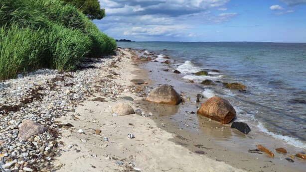 A beach with pebbles, rocks, and seaweed, and a distant view of the sea. - Holiday Home in Odder (Odder)