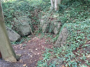 منزل | المنطقة المحيطة بالمنشأة