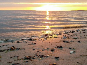 A beach with scattered rocks and seaweed, and the sun setting over the water.
