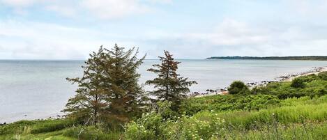 House | View from property