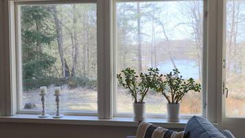 A room with a window overlooking a forest and a body of water, a white table, and a gray sofa with patterned cushions.
