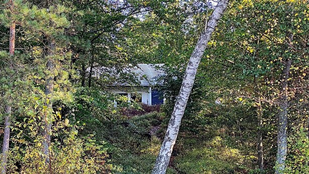 A secluded cabin surrounded by dense forest. - 4 Person Holiday Home in Skanes-fagerhult (Skånes Fagerhult)