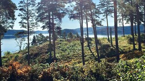 A forested area with tall trees and a lake in the background. - Holiday Home in Brastad (Brastad)