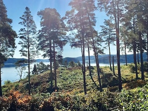 A forested area with tall trees and a lake in the background. - Holiday Home in Brastad (Brastad)