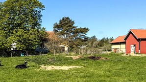 A rural landscape with a grassy field, a sheep, and a red barn. - Holiday Home in Brastad (Brastad)