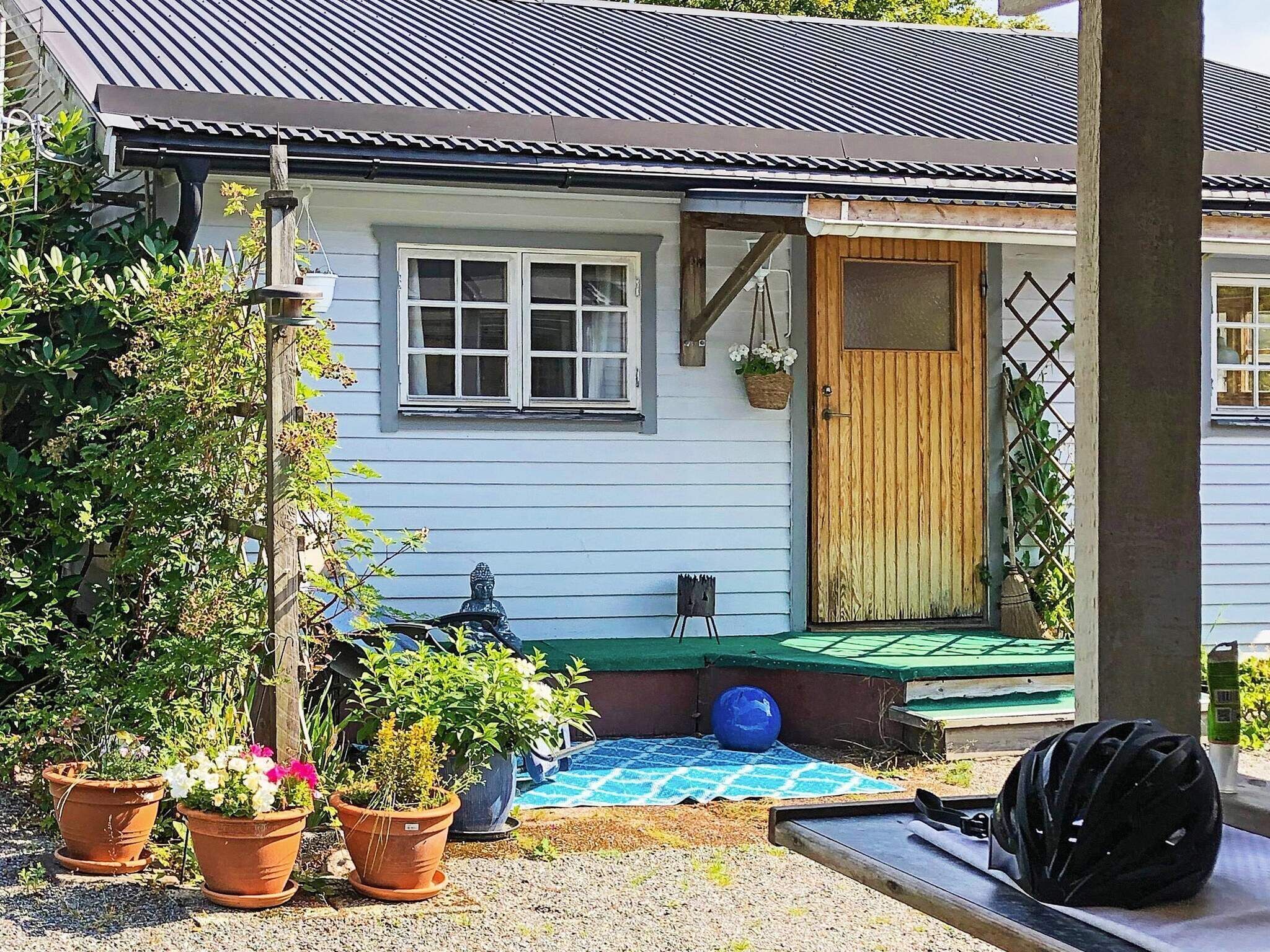 Eksteriør