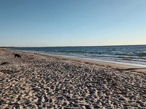 A sandy beach with footprints and a dog. - Holiday Home in Væggerløse (Vaeggerlose)