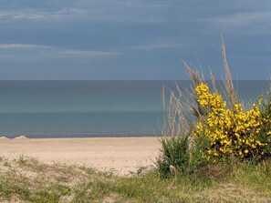 Une plage offrant une vue dégagée sur l’océan et bordée d’un rivage sablonneux.