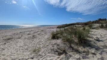 House | Beach