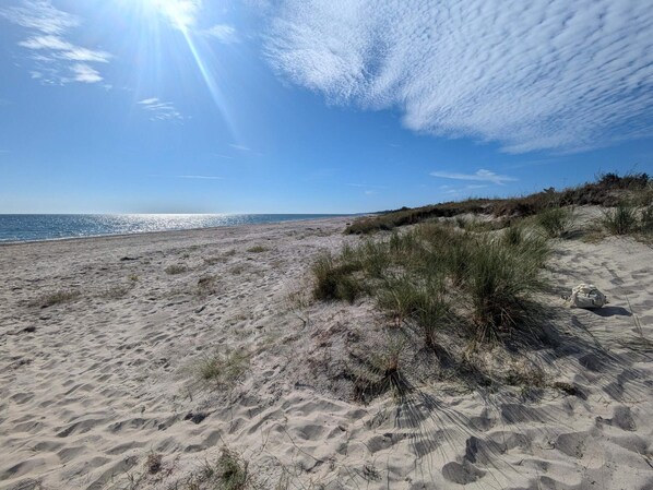 Ein sandiger Strand mit vereinzelter Vegetation und blauem Himmel.