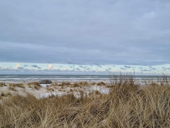 A beach with sand dunes and sparse vegetation.