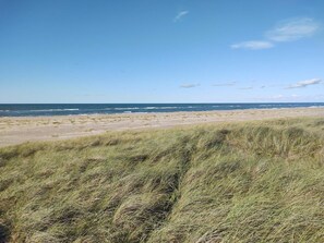 Une plage avec des dunes et l’océan en arrière-plan.