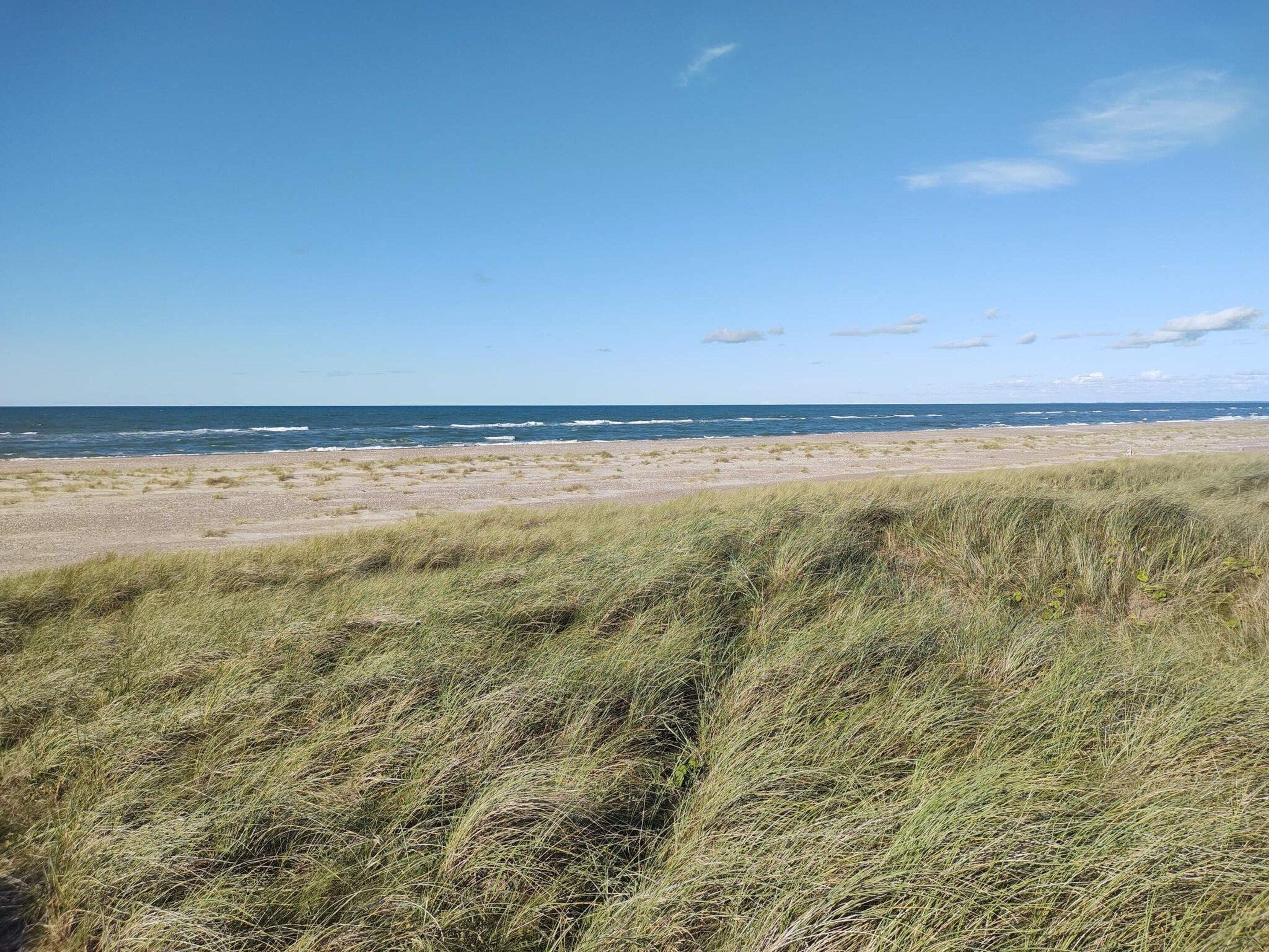 Une plage avec des dunes et l’océan en arrière-plan.