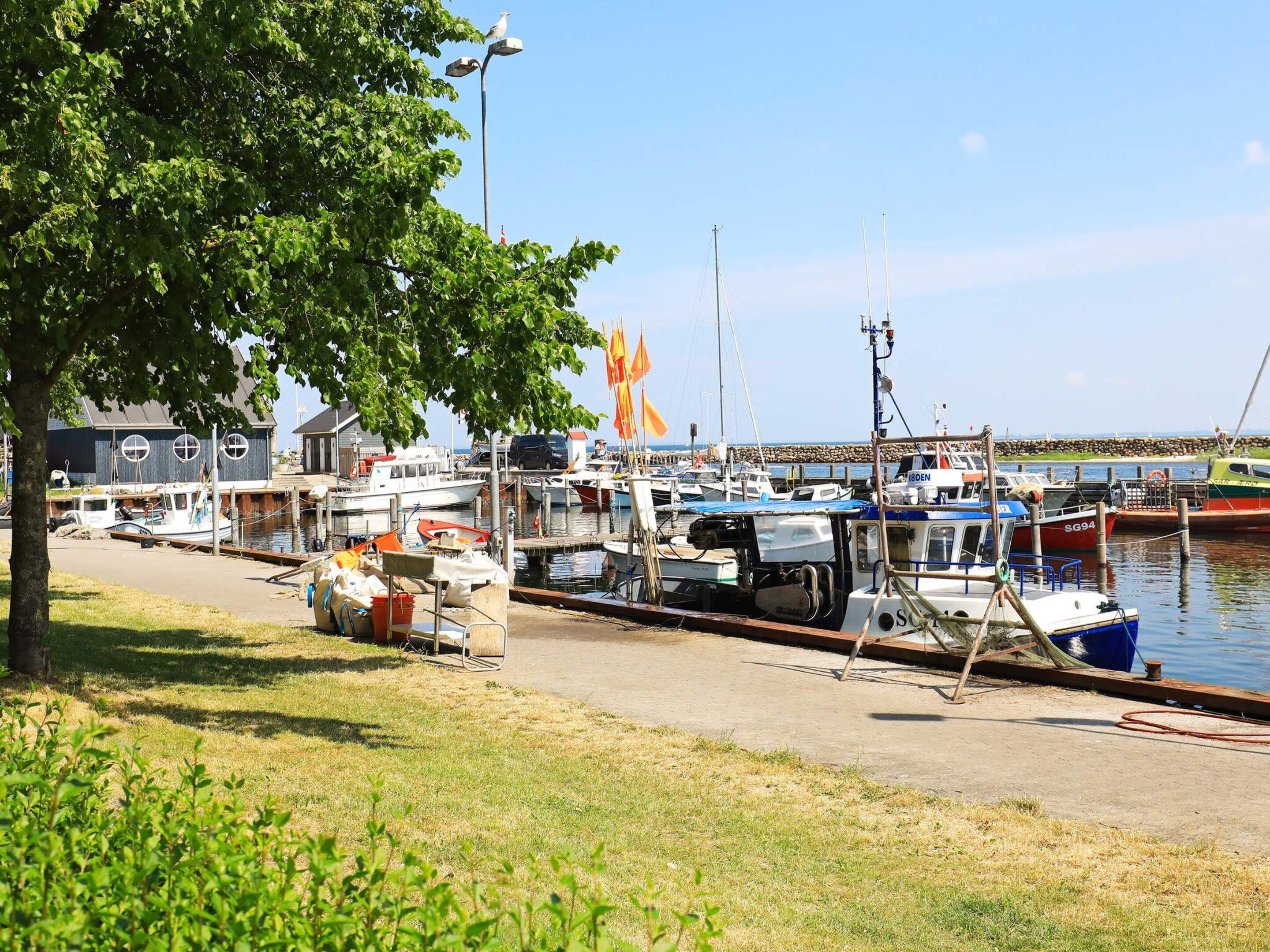 Een jachthaven met aangemeerde boten, een pad met bomen en een heldere lucht.