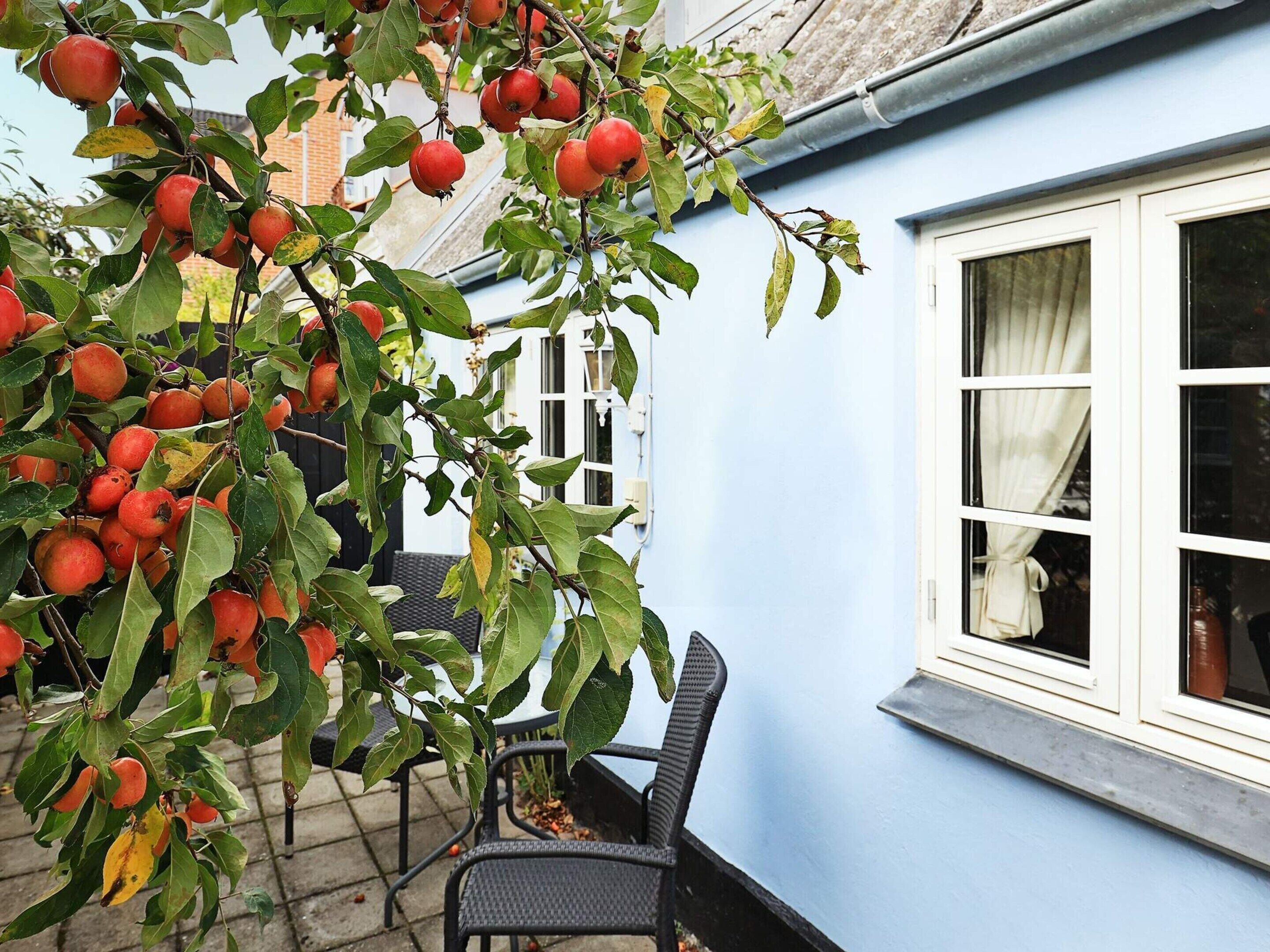 الإطلالة من المنشأة