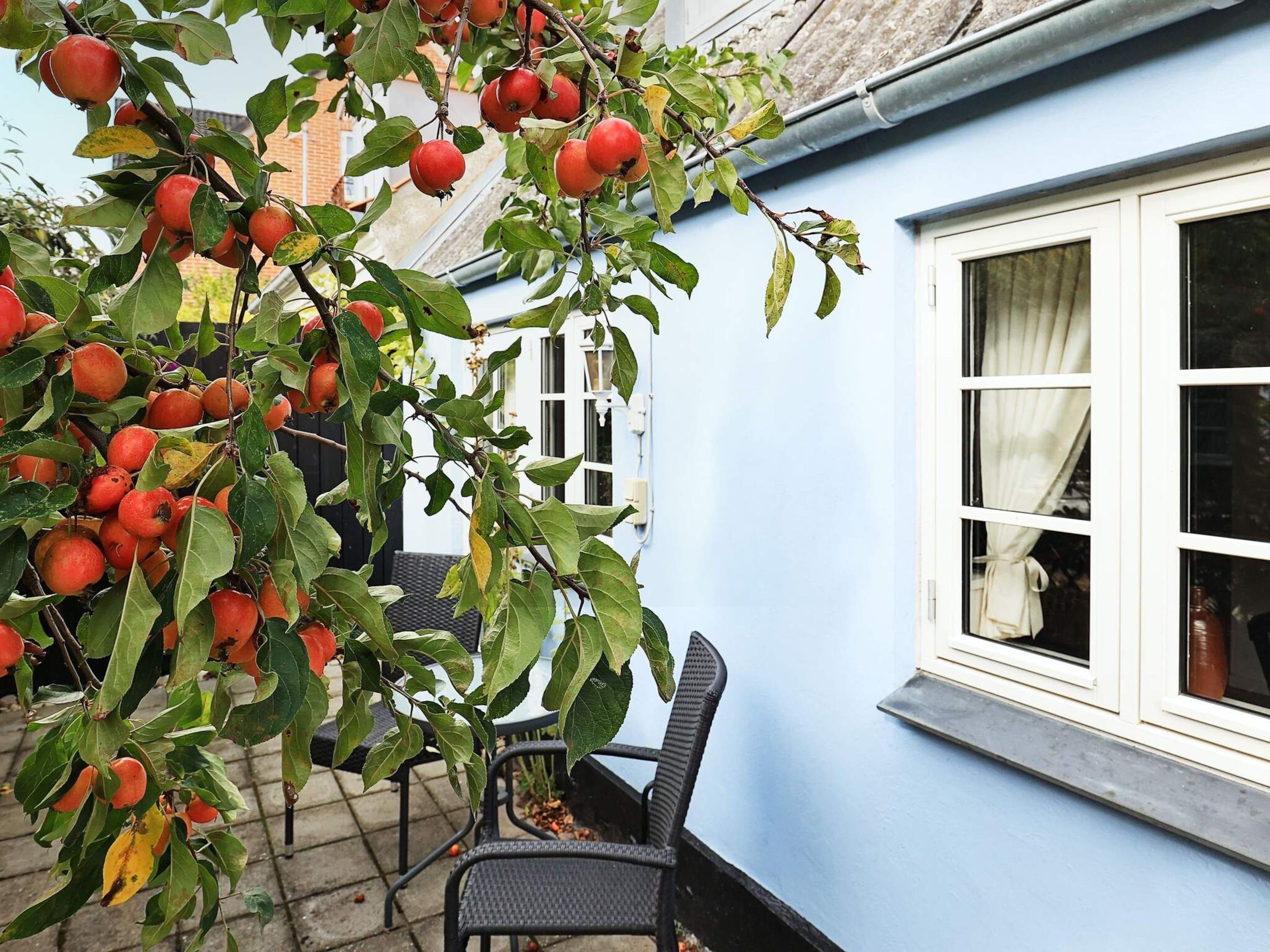Un bâtiment bleu avec une fenêtre et un arbre aux fruits rouges.