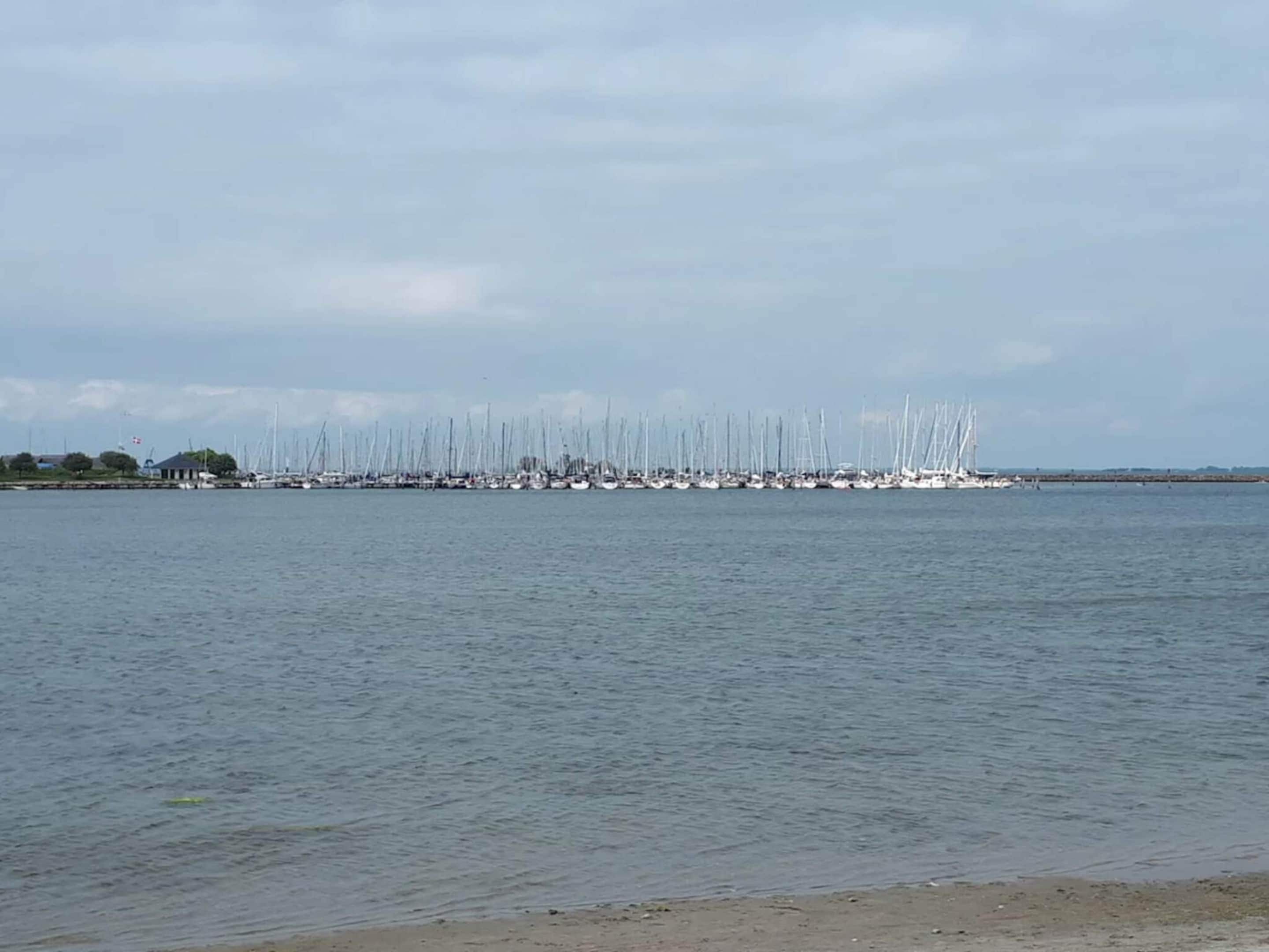 A marina with numerous sailboats docked.