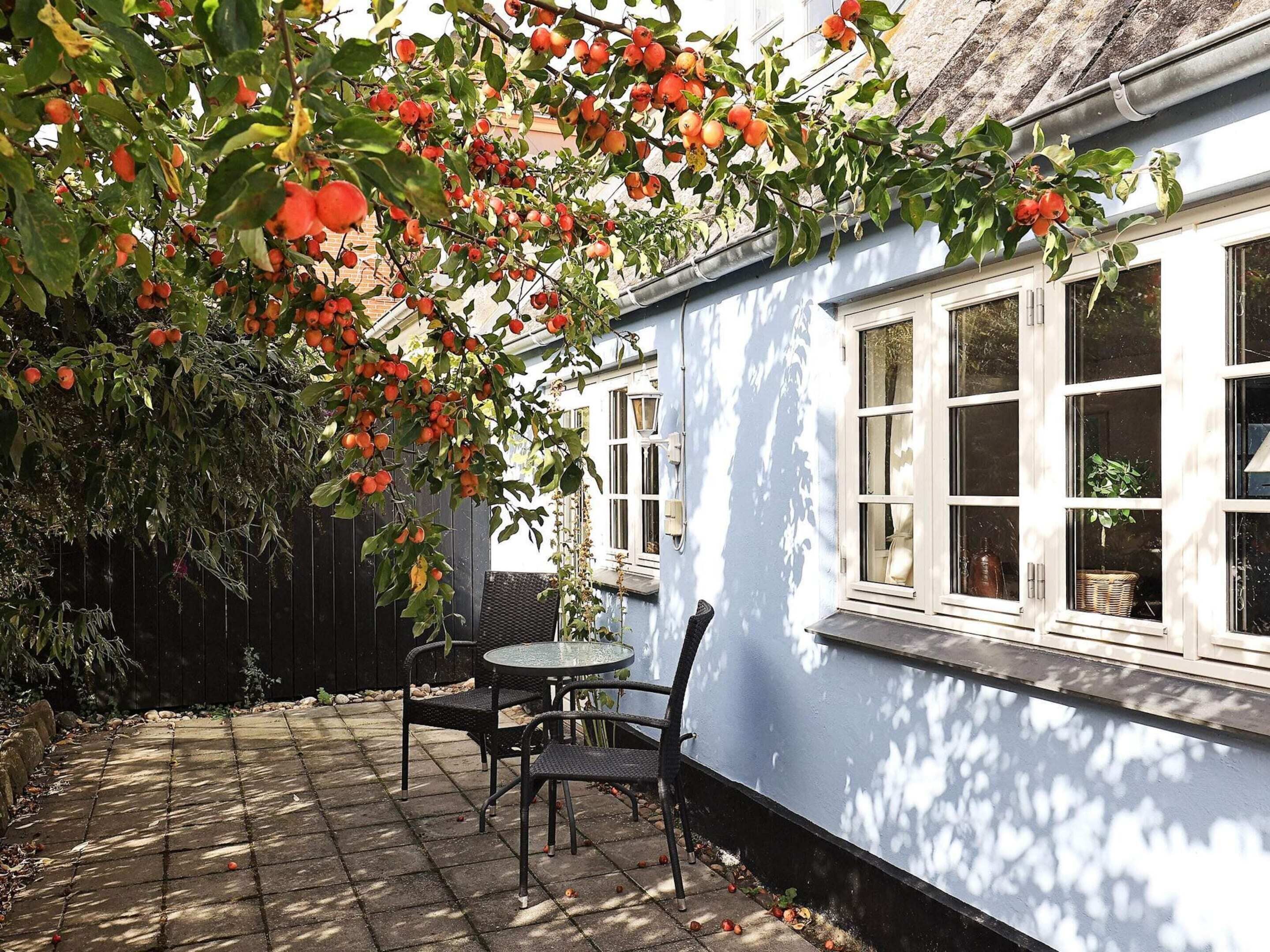 Ferienhaus | Blick von der Unterkunft