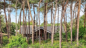 A cabin surrounded by tall trees and dense shrubbery. - Holiday Home in Gedser (Gedser)