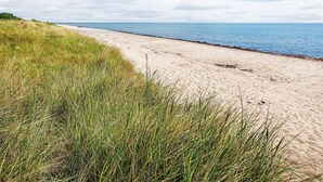 A beach with sand and grass. - Holiday Home in Gedser (Gedser)