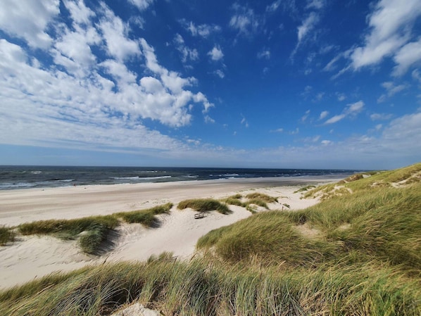 House | Beach