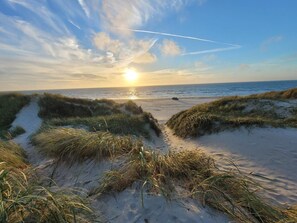A beach with sand dunes and a clear sky.