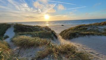 A beach with sand dunes and a clear sky.