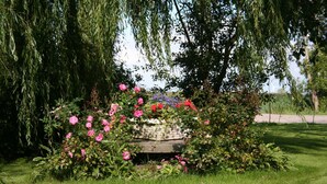 A garden with a variety of flowers and a small pond.