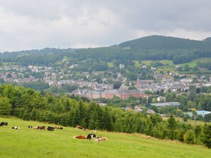 Exterior - Former Hotel with Swimming Pool, Hot Tub & Sauna for Family Groups (Malmedy)