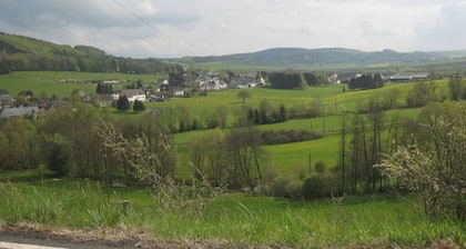 Simplistic Apartment in Falkenstein With a Majestic View