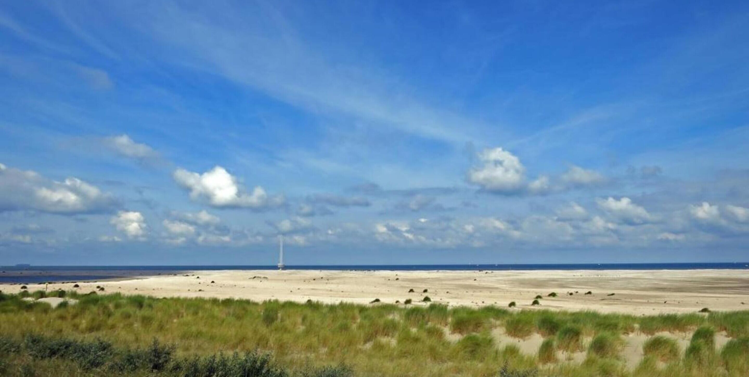 A coastal landscape with a sandy beach, grassy dunes, and a distant windmill.