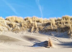 Tent | View from property - Homely Tent with Kitchen & Shower near Beach & Campsite ('s-Gravenzande)