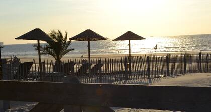 Homely Tent with Kitchen & Shower near Beach & Campsite