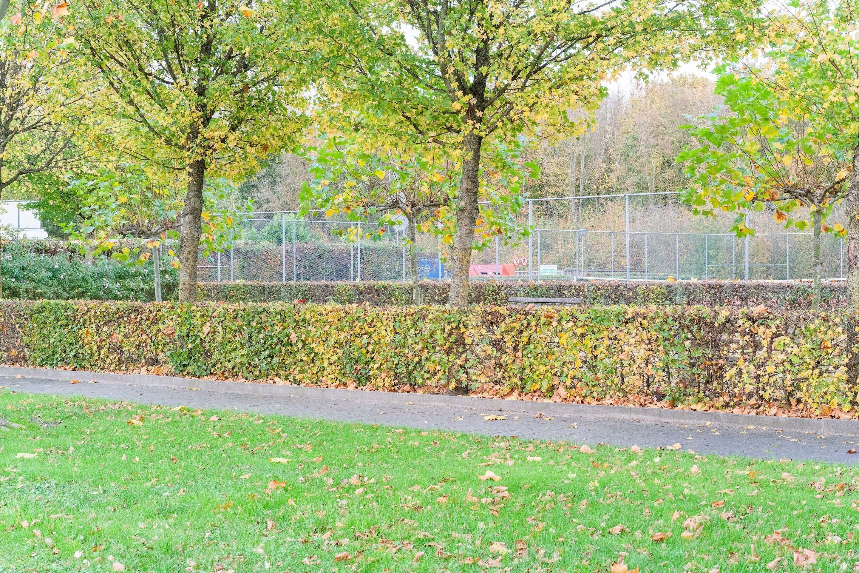 Un parc avec un chemin pavé, de l’herbe verte et des arbres aux feuilles d’automne.